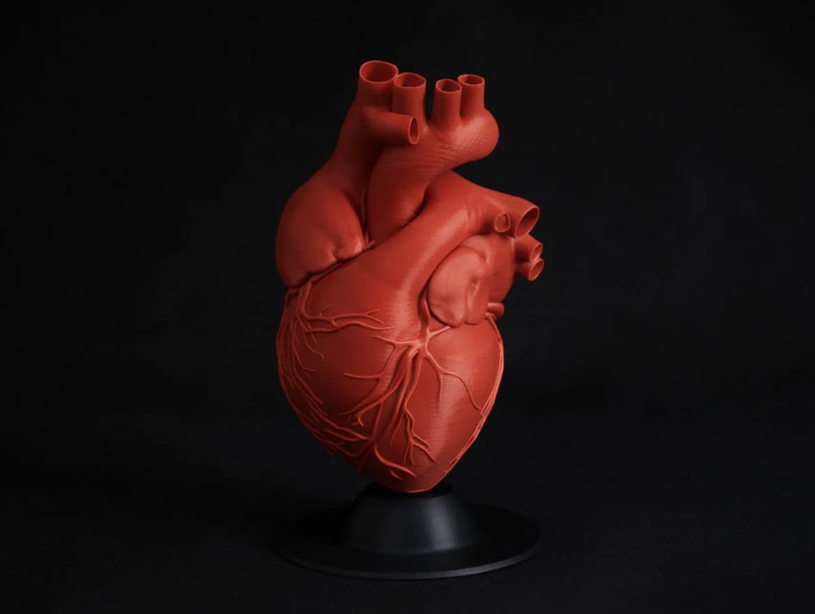 Human Heart Figurine
